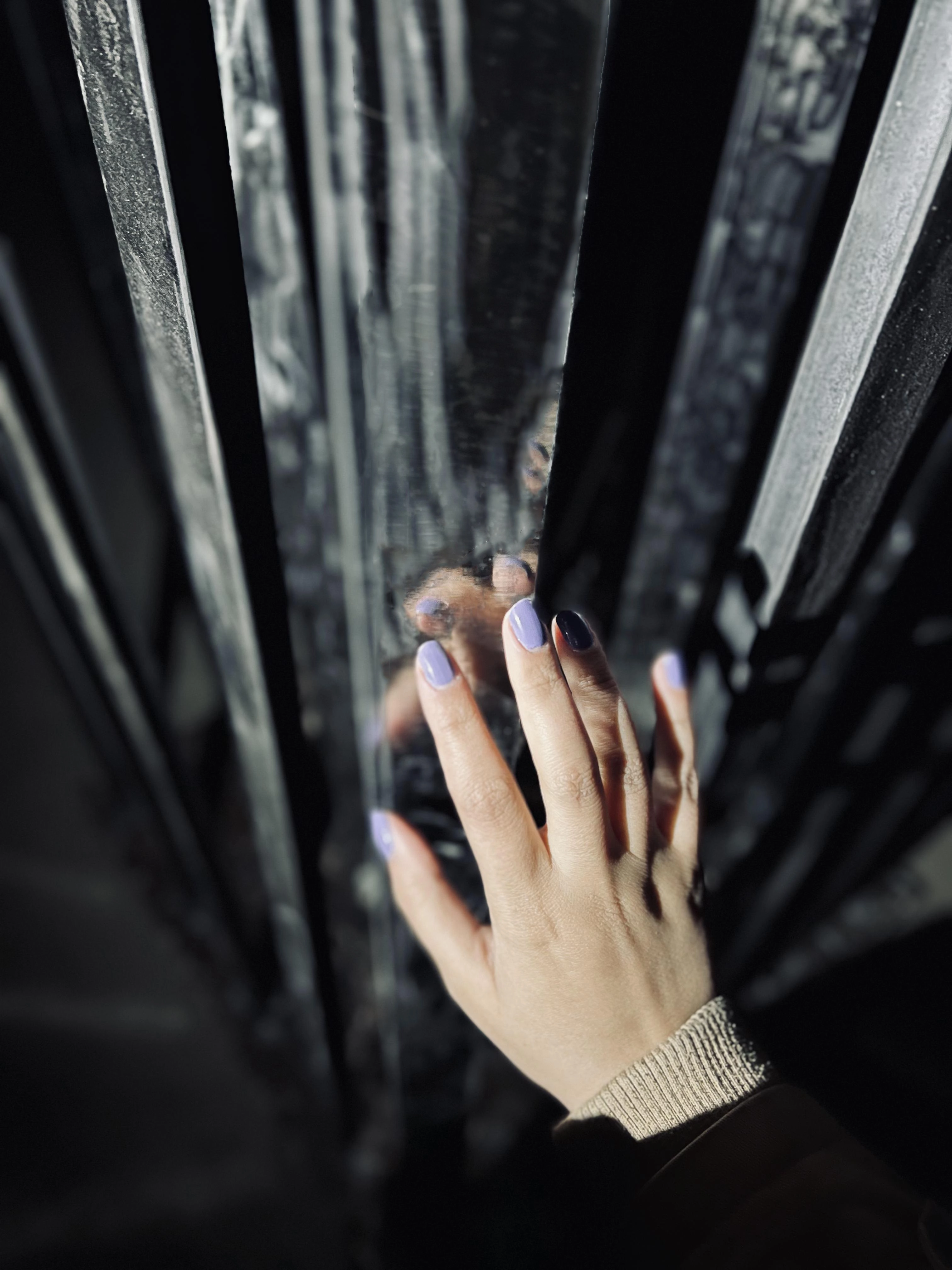 Installation view – rail forest